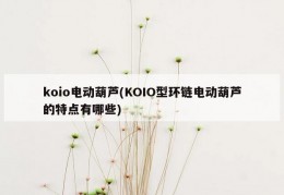 koio电动葫芦(KOIO型环链电动葫芦的特点有哪些)
